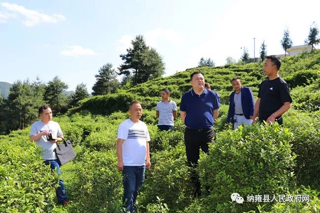 县委常委,县纪委书记,县监委主任袁靓到姑开乡调研脱贫攻坚,民族宗教