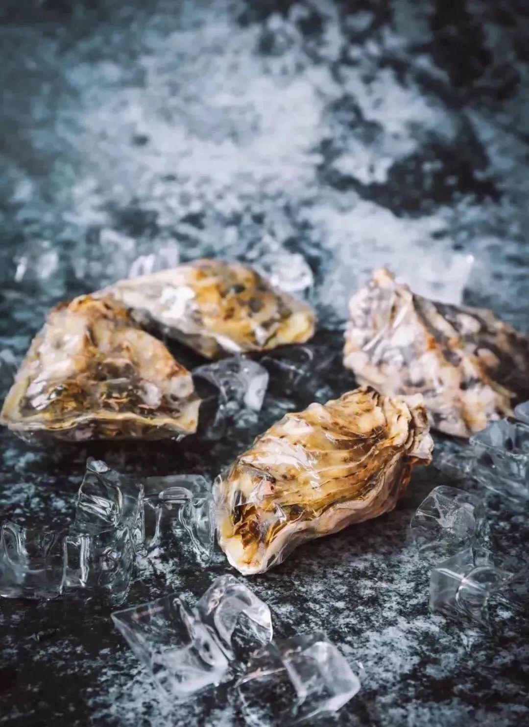 东山岛"深海生蚝",1只1元起,冷链直送到家!