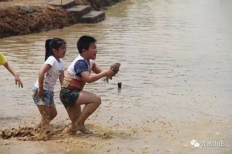 招募啦6月1日应城龙池山庄第三届摸鱼节预约报名啦摸到的鱼免费带回家