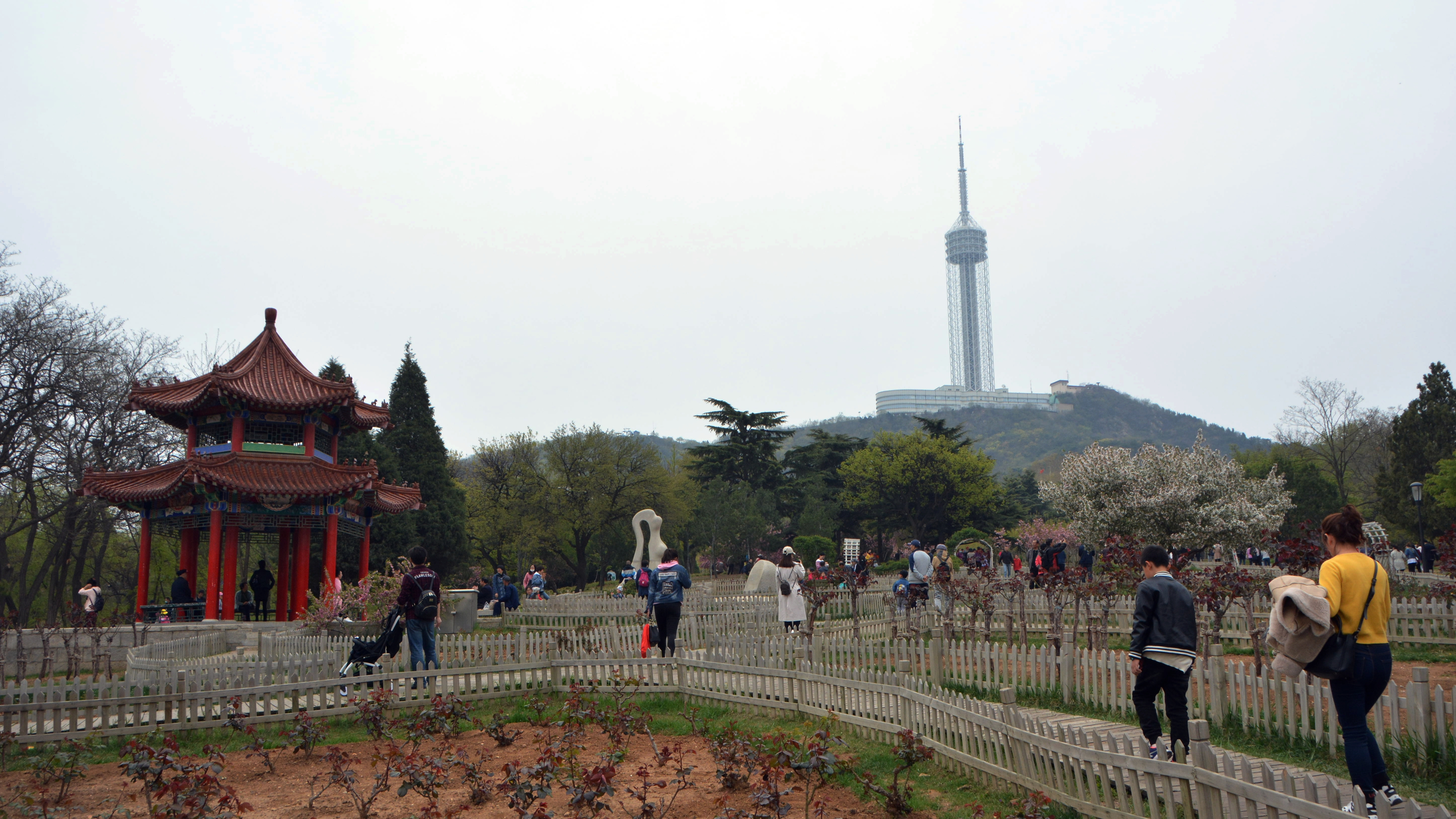 辽宁大连劳动公园车祸图片