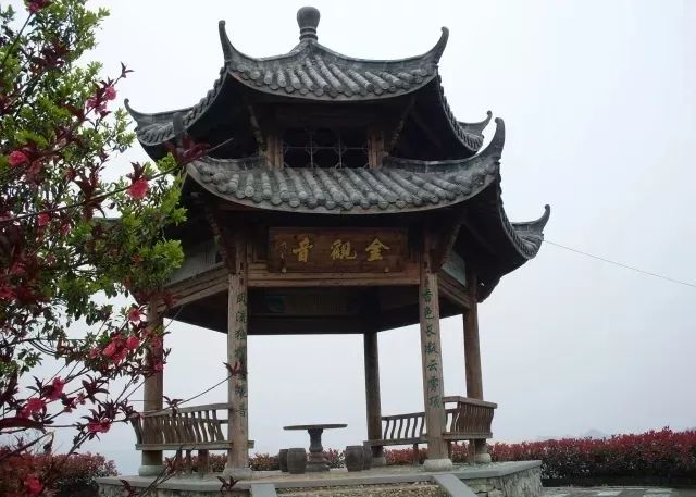茶金观音茶园基地生产车间"光靠线下的老客户还不够