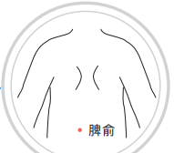 以拇指螺纹面着力,在一侧或两侧脾俞,肾俞穴上揉动50~100次.