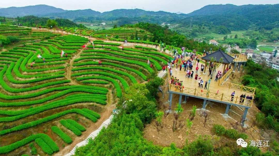 连江长龙茶山文化节今天开幕!现场高清组图呈现