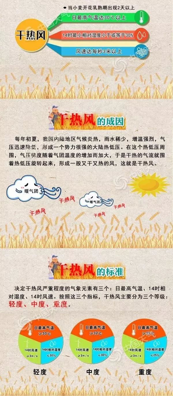 37℃ 干热风!青岛连续两天发布高温橙色预警!