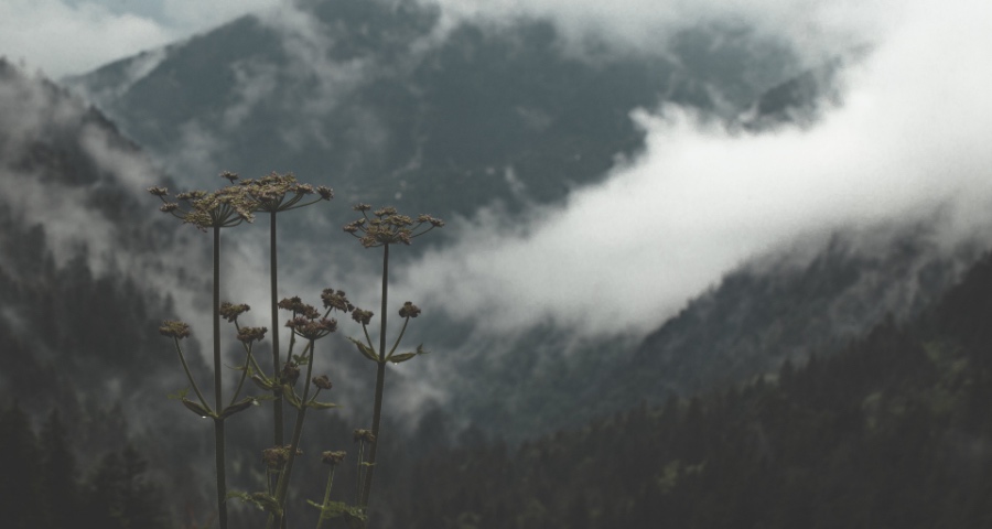 家电窜货无码机再次泛滥,但厂商却低估其对行业的破坏性-家电圈官网