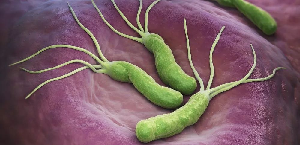 江西一家5兄弟4人患癌,这个癌症真的会"传染"?_螺旋杆菌