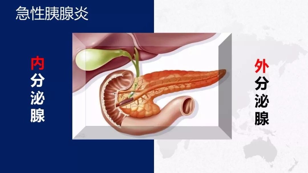 【ppt资源】急性胰腺炎的中酉医护理