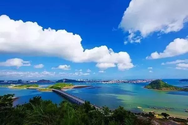 北部湾滨海湿地保育发展论坛开幕|王石点赞防城港生态建设