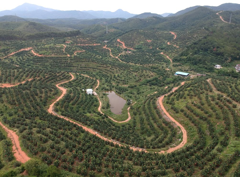 惠州山区这里又多一个旅游地方,将要挤满人了?