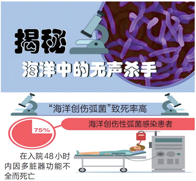 据介绍,海洋创伤弧菌有两种感染途径,一类是进食生的或未经加工熟的贝