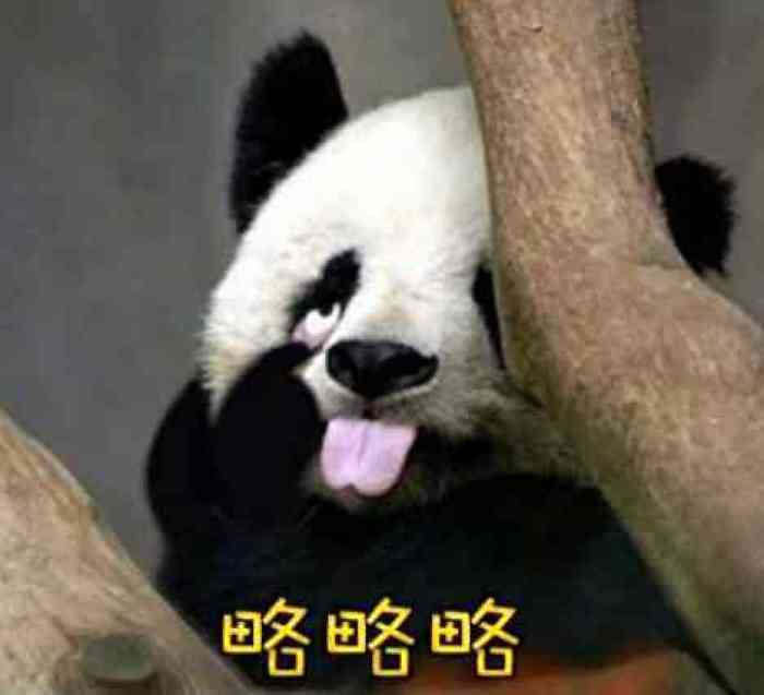 熊猫卖萌图片舌头图片