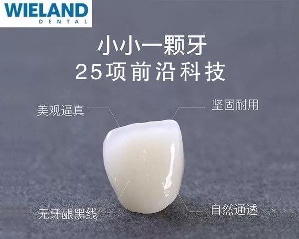 德国威兰德全瓷冠(全场仅10颗)