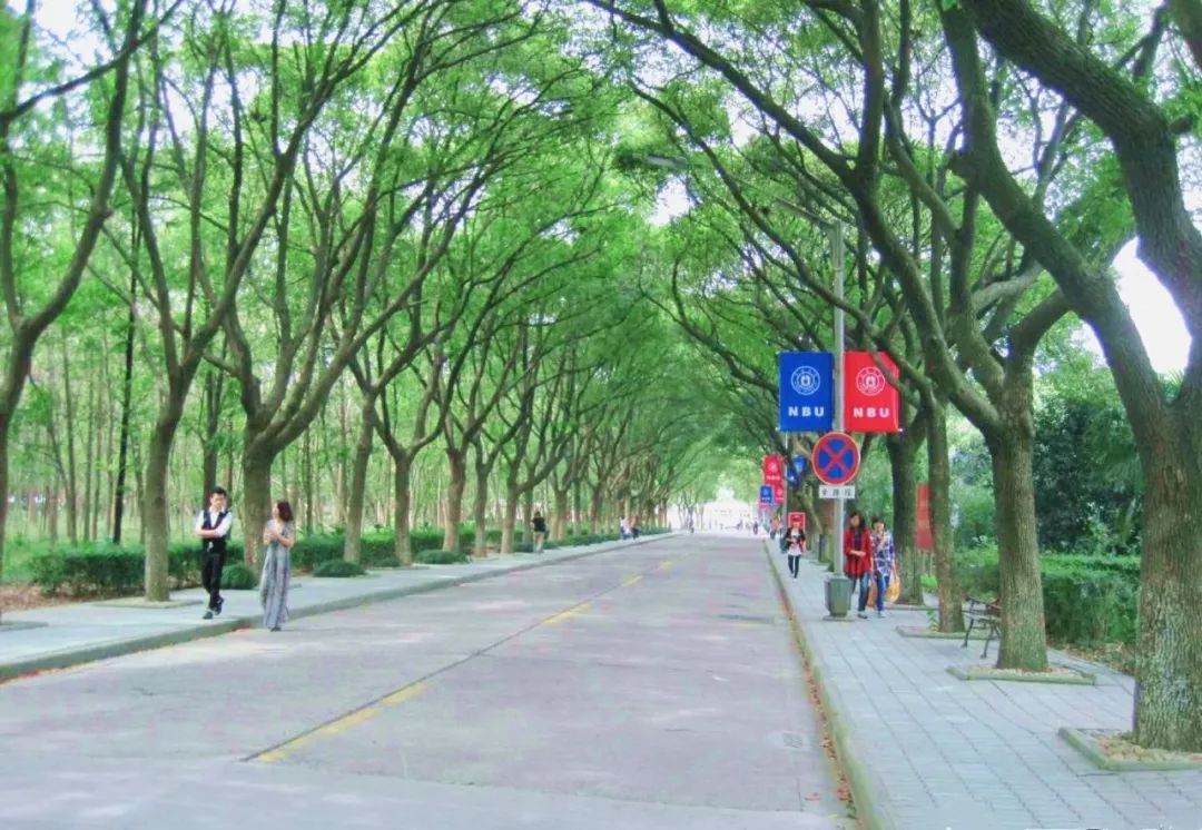 大学子戏称为"天使之路"落在身前身后的滴滴答答让你原本悠闲短暂的