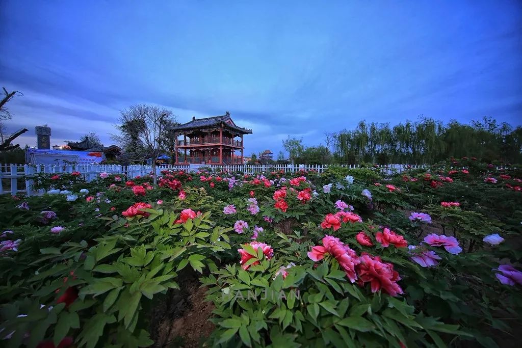 山东的版图犹如一只展翅欲飞的雄鹰,地处鲁西南的菏泽就好比是雄鹰的