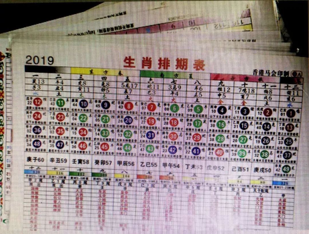 正版2020生肖波色表图图片