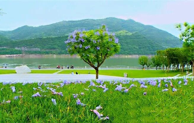 云阳"月光草坪"正建设一个"婚庆礼堂"!