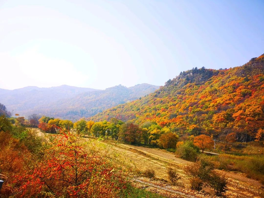大自然巡礼茅荆坝国家级自然保护区