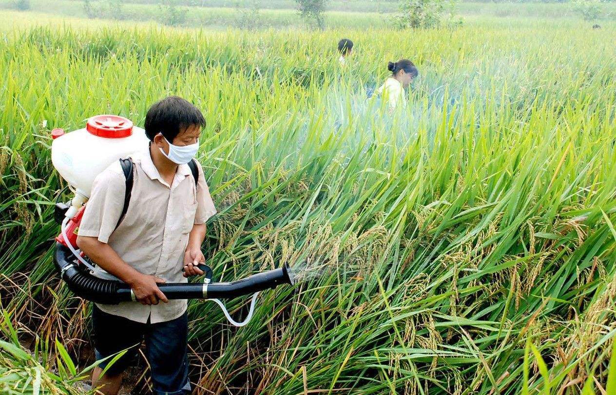 你真的会打农药吗?这5个细节问题要知道,不然药效受影响!