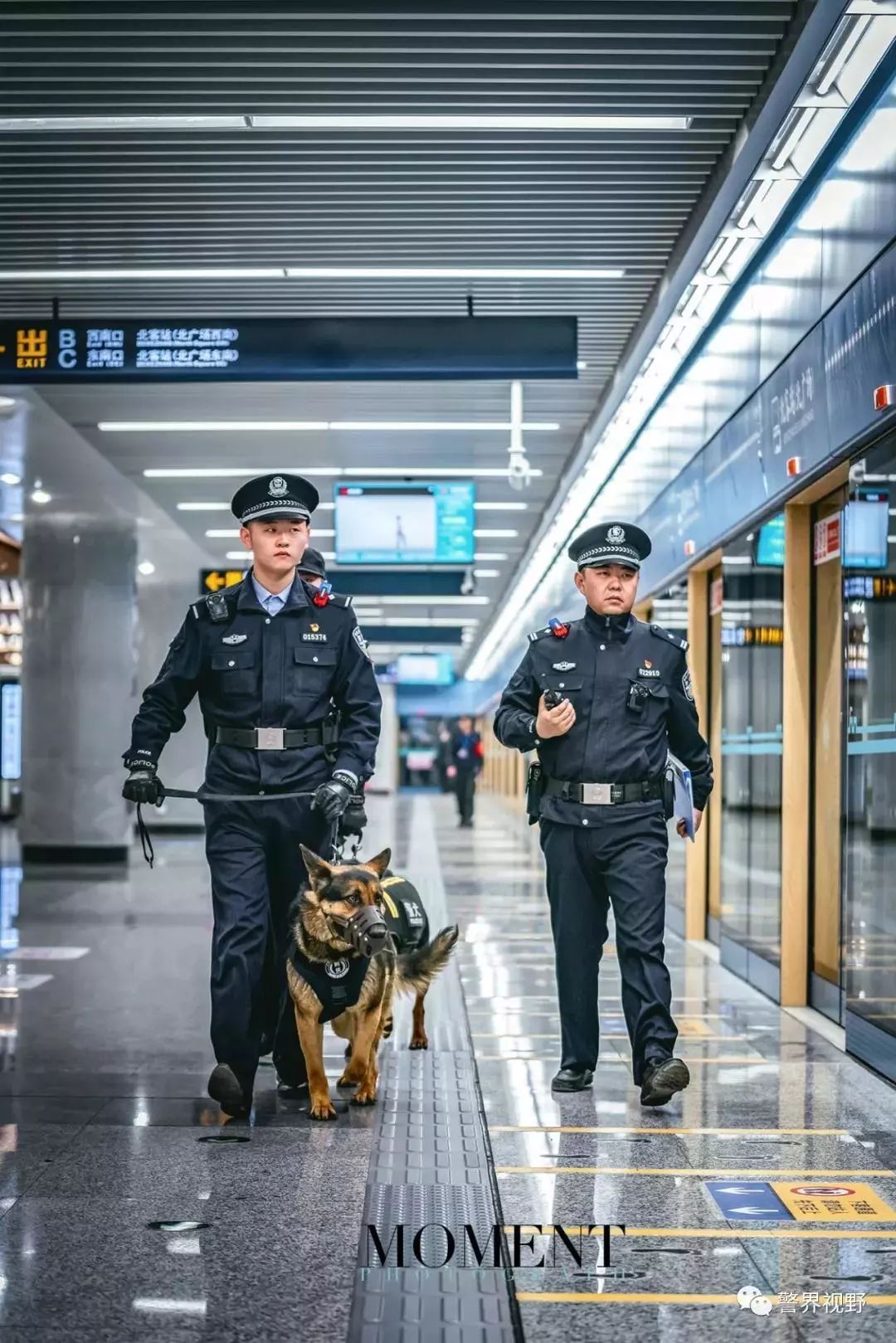 扫黑除恶丨关于这些地铁里的"小精灵",你了解多少呢?_警犬