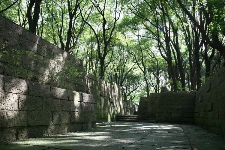 蹭同济112校庆之热度,读冯纪忠先生之"陋轩"