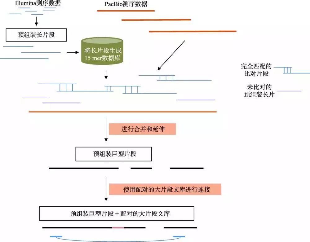 且三代測序在偏好性方面有二代技術無法比擬的優勢,新的策略開始著眼