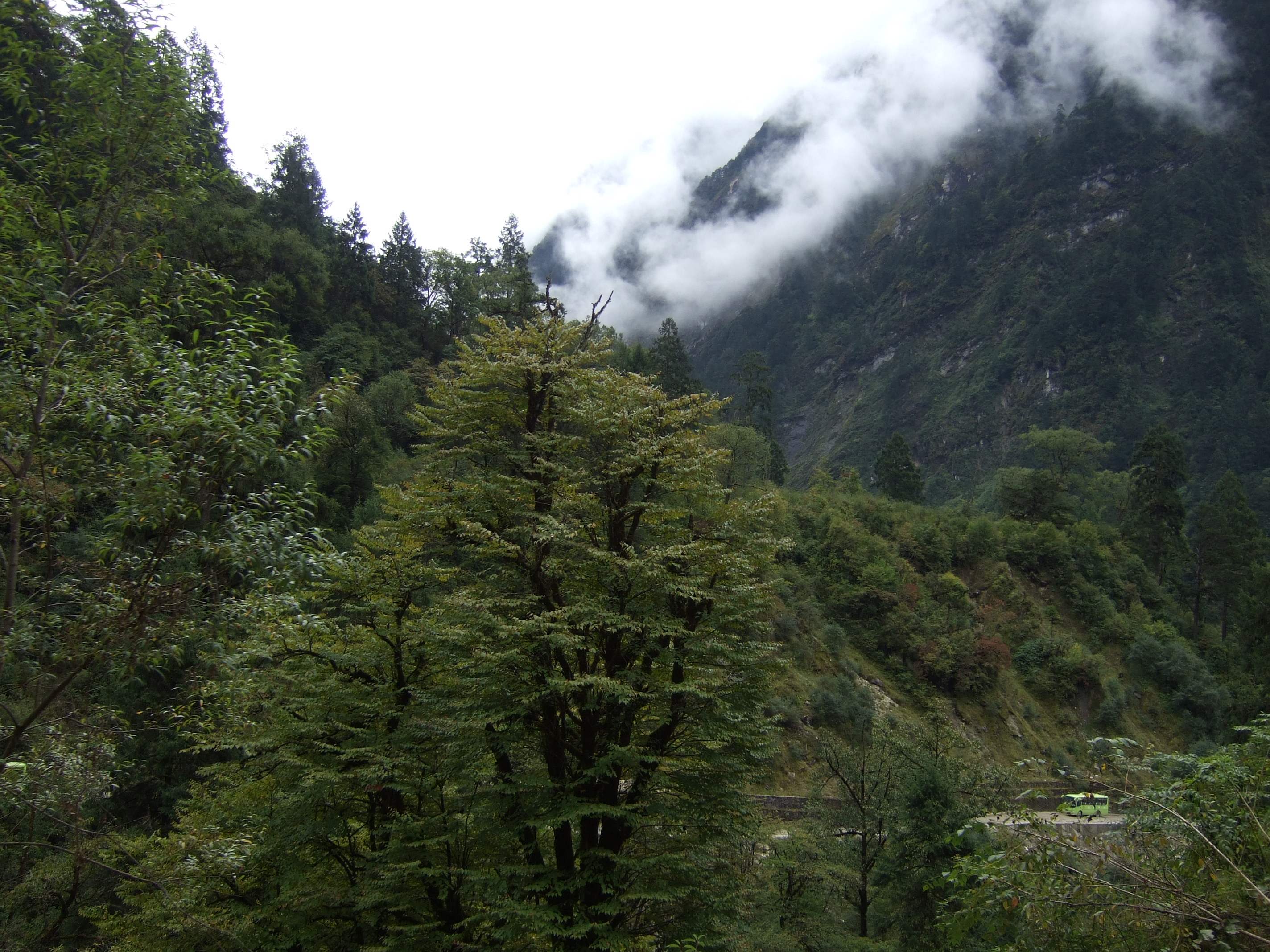 中国十大最美森林公园——海螺沟冰川森林公园