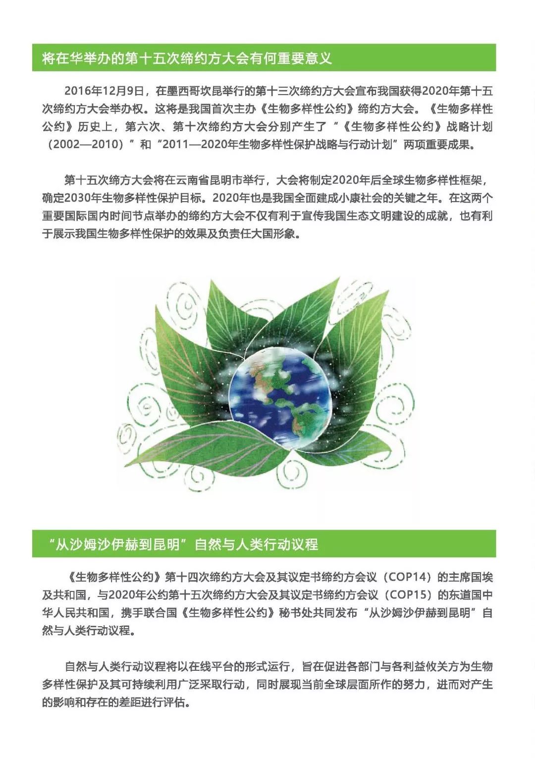 環保科普|關於生物多樣性,這些內容一起了解下