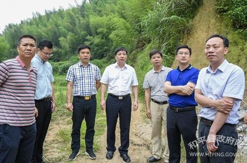 陈劲松要求上陵镇做足做实竹文章将翠山竹海旅游项目做强做大图