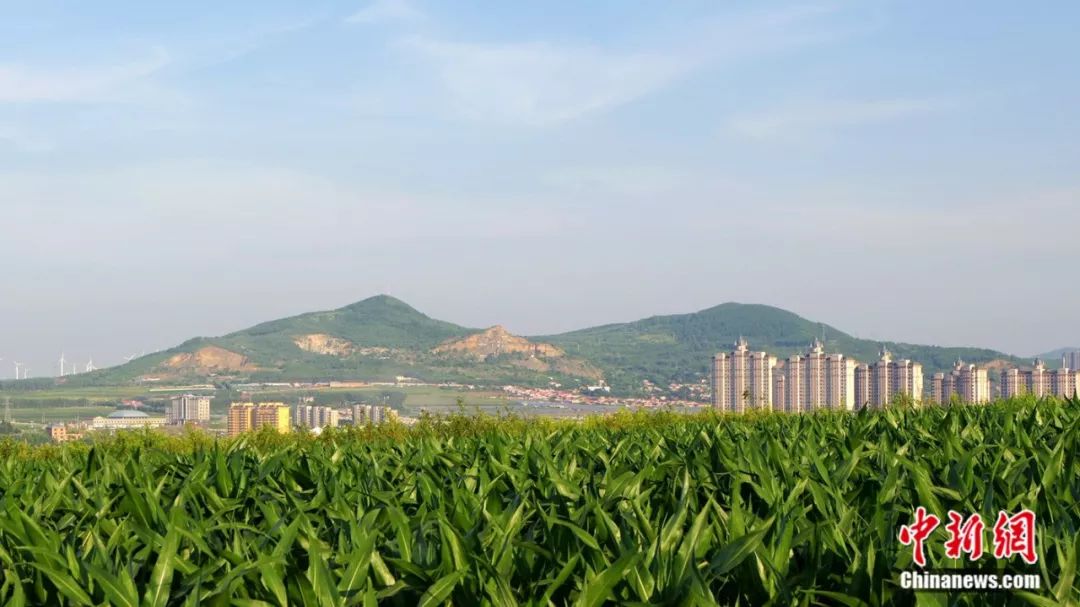 故称这为"双鸭子山",后来改成了现在的"双鸭山",其真正译名是shuang