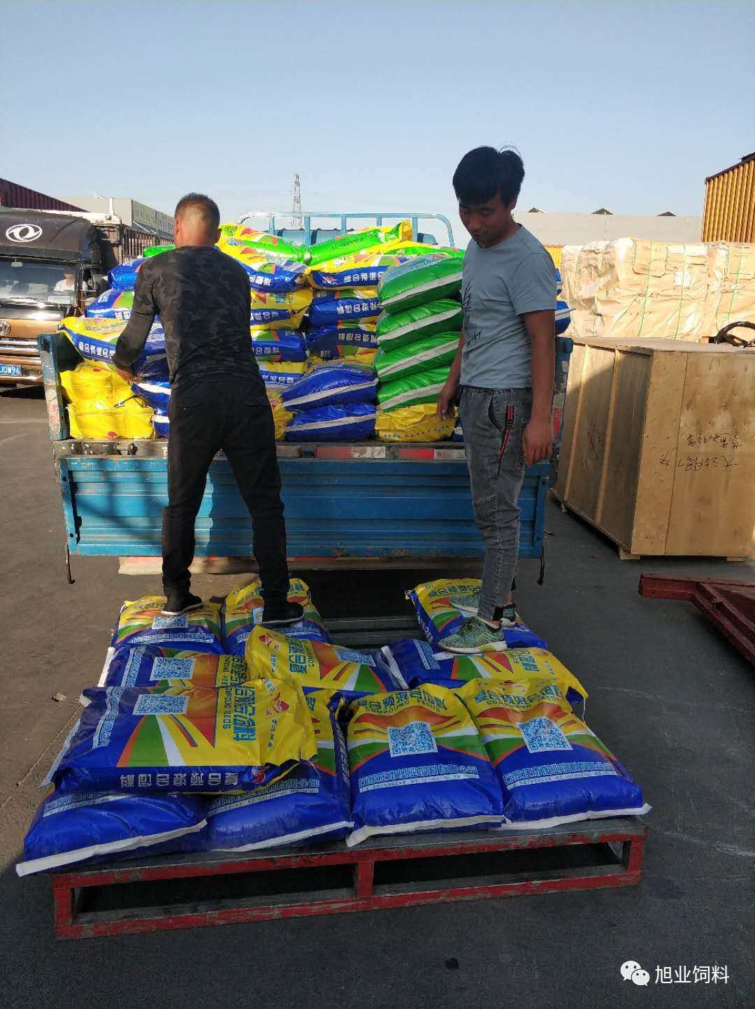 日夜不辍,我们永远在路上!——旭业饲料物流发货中