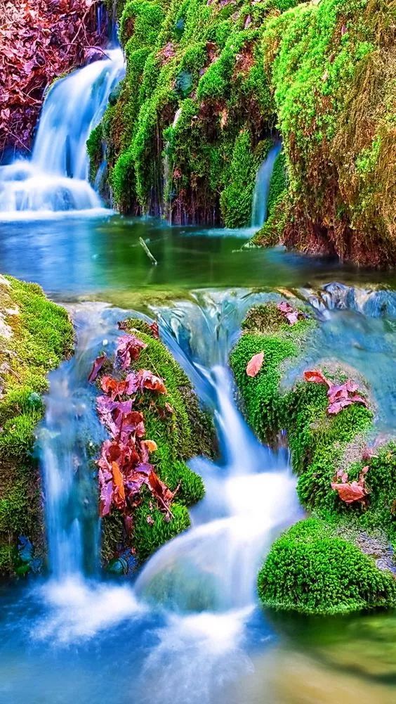 人间美景如入仙境