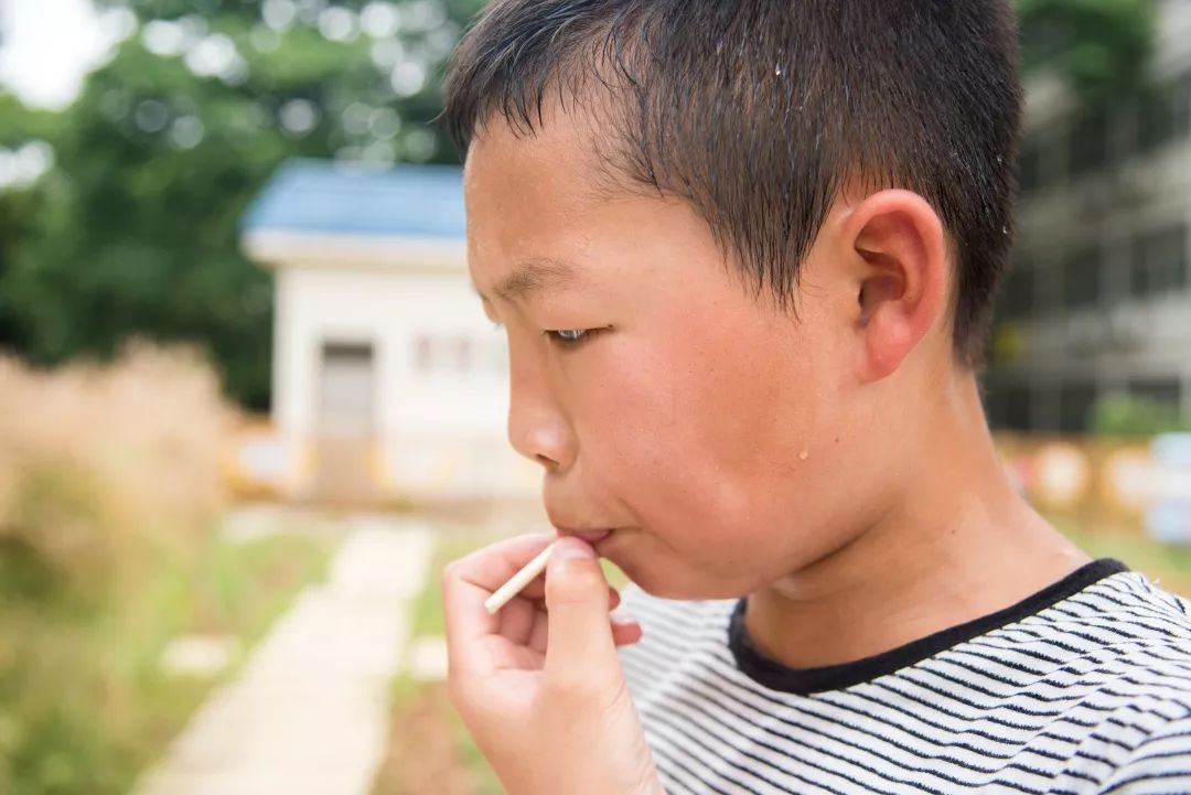 实验小学教育集团:麦子熟了 吹响麦哨_收获
