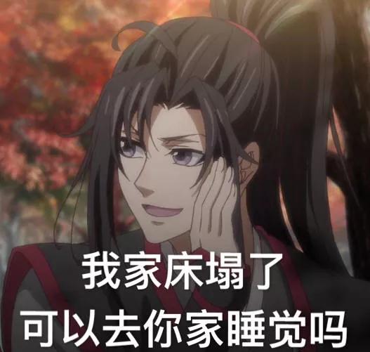 魔道祖师表情包