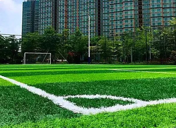 广州这个新盘竟然有个约50000㎡的体育公园