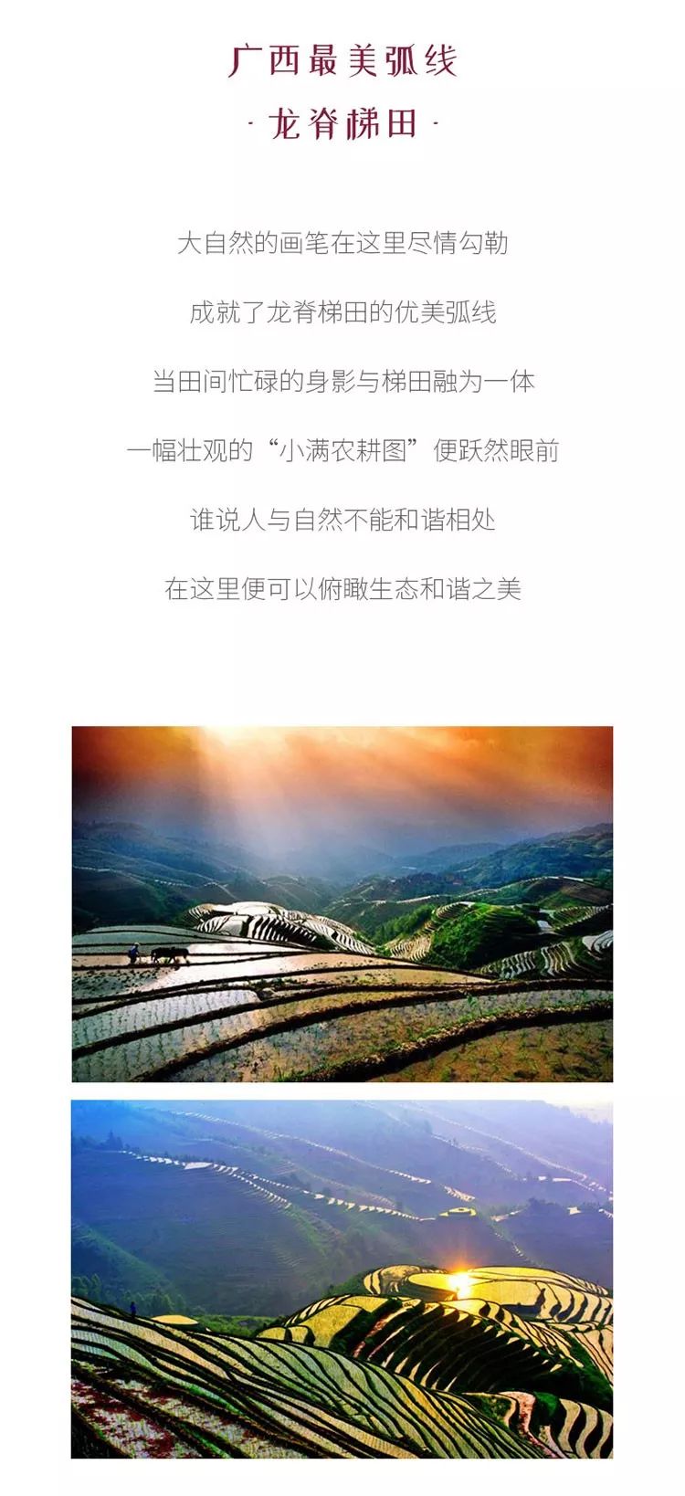 地 有色块鲜明,线条优美的梯田 有一年四季呈现不同景观的神奇"牧场"