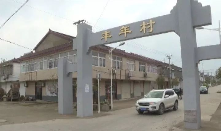 车桥镇丰年村党建引领产业富村开启脱贫增收新路径