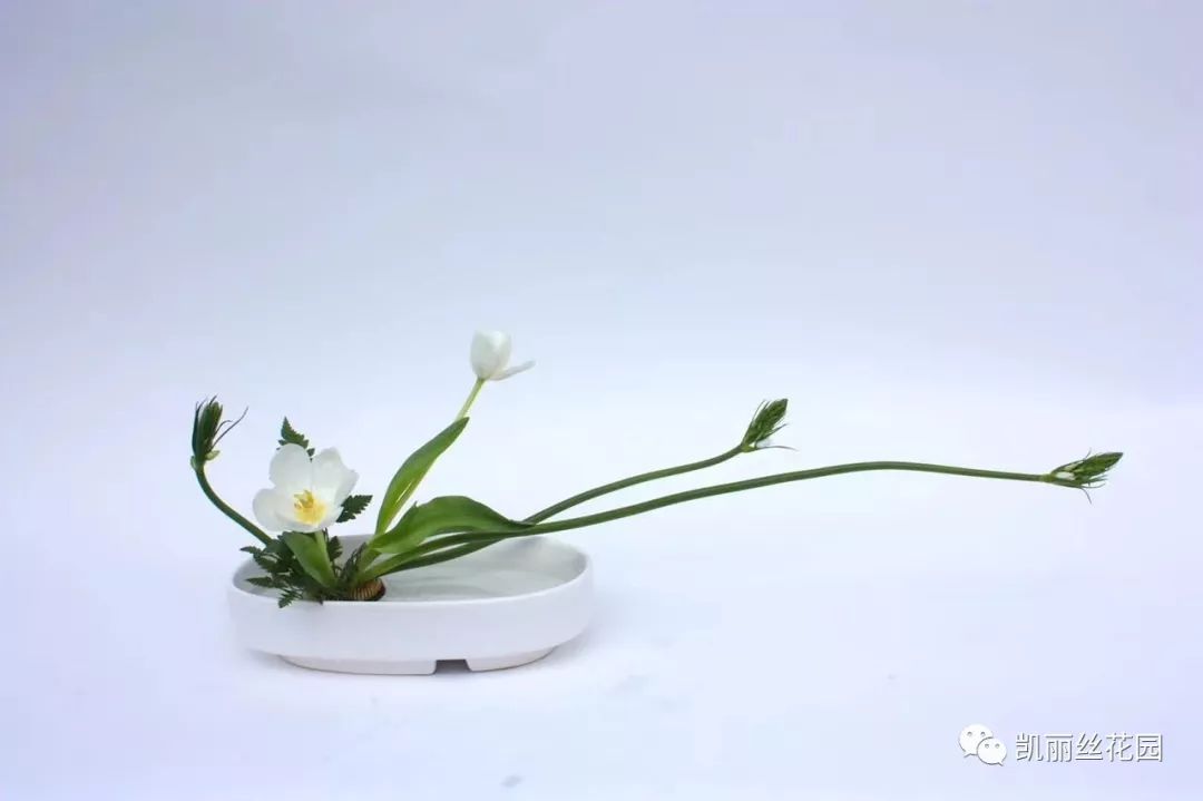 北京小原流花道系统课6月1234