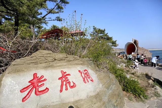 老虎滩海洋公园大学生特惠来袭,花"young"打卡嗨不停!