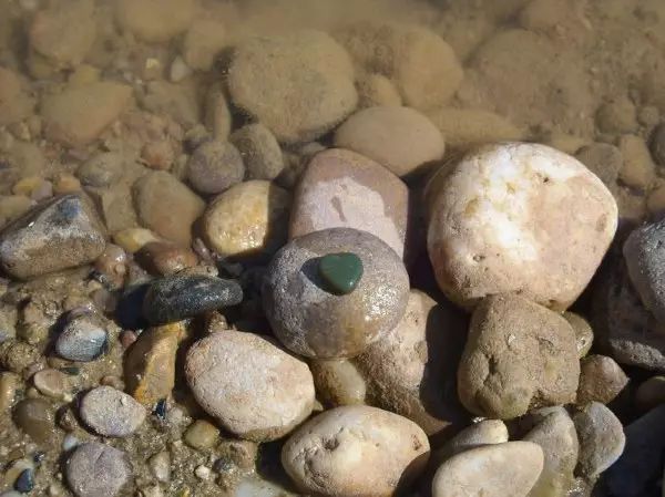 现在还能捡到雨花石吗?