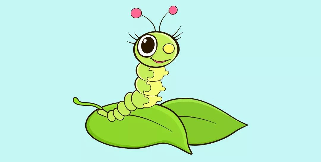 幸福课堂走进蚕的世界属于孩子们的科学课