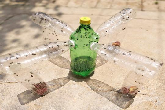 废旧瓶子做昆虫图片