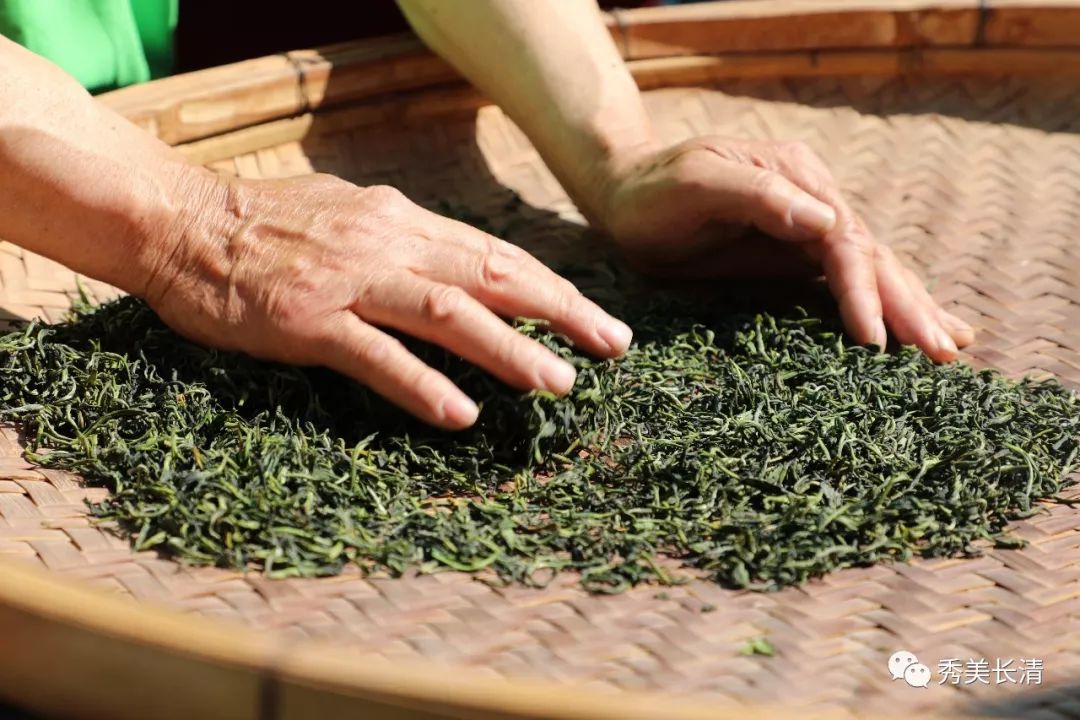 本地资讯长清寿茶组团亮相惊艳济南茶博会