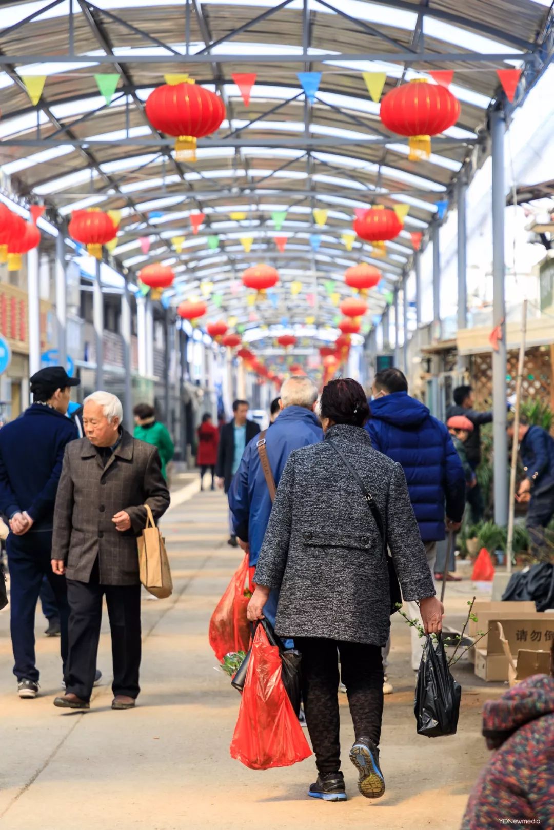 走去武漢最大花鳥市場逛夏天