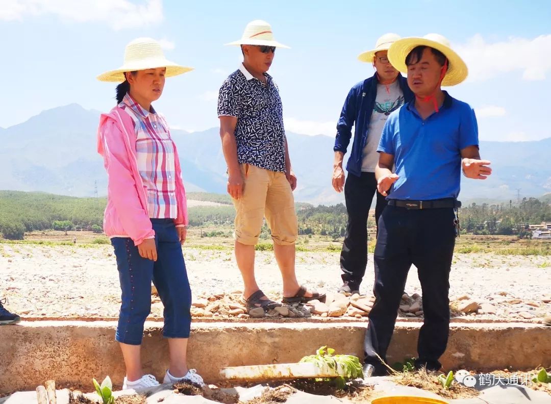 鹤庆县长段红丽到松桂镇调研抗旱保苗和脱贫攻坚工作