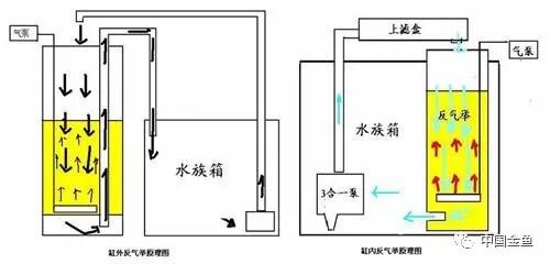占用缸内空间较小,噪音较低,生化过滤效果好,安装较灵活多样,出水可以