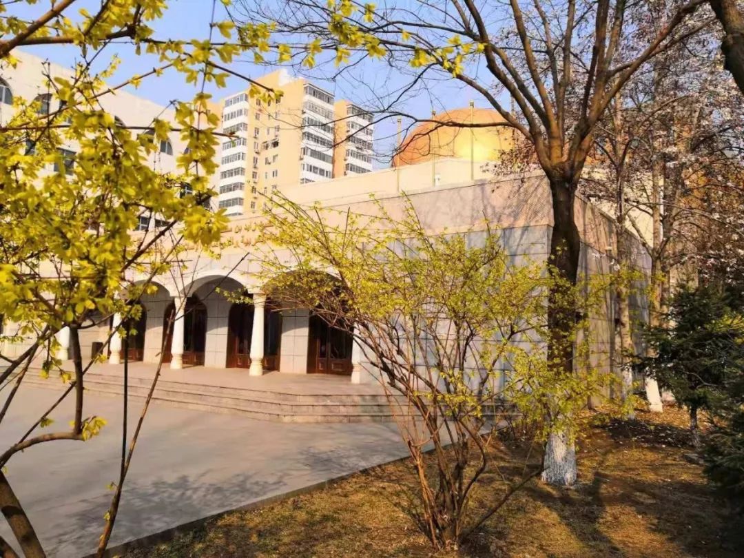 这份北外制成的下午茶是什么味道