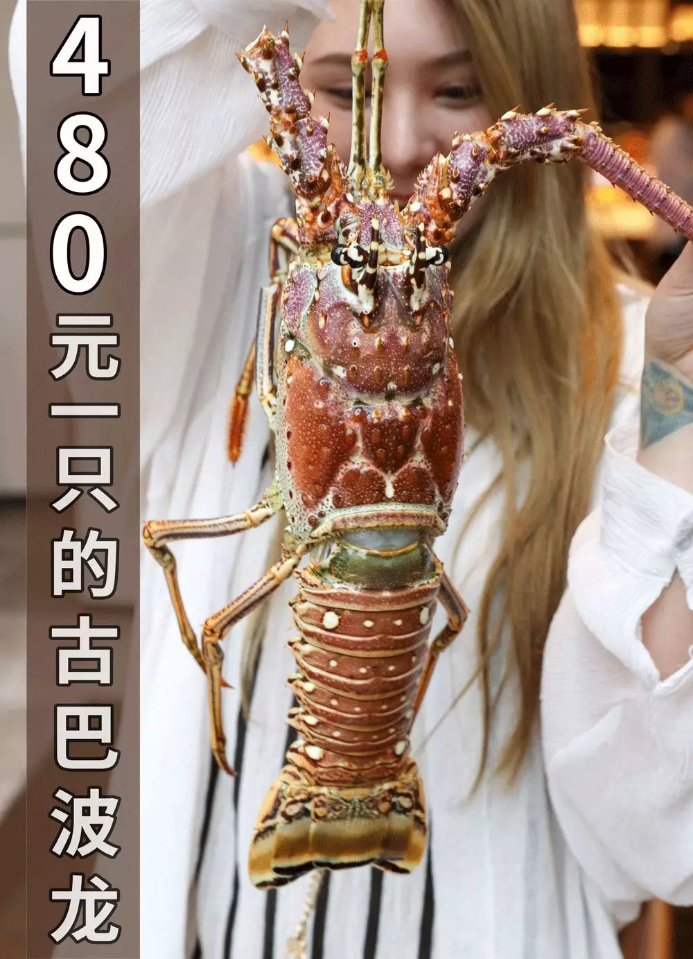 比澳龙贵3倍!小龙虾自助惊现480元古巴龙虾!