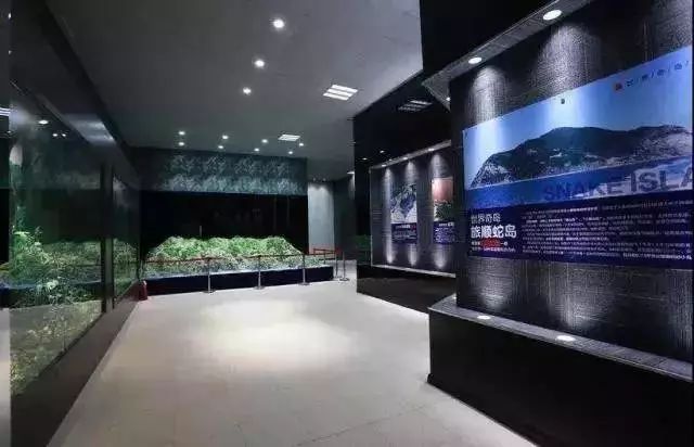 满足冒险情结;82 浓缩了整个蛇岛的超级博物馆;100 种珍稀蛇类,30