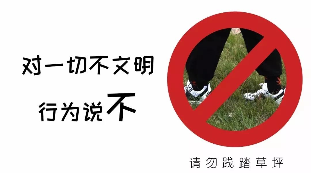 倡议对校园不文明行为说no