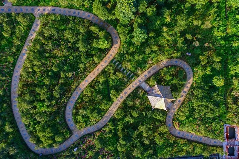 美丽生态激活美丽经济 上虞桃园村建设桃花源旅游小镇